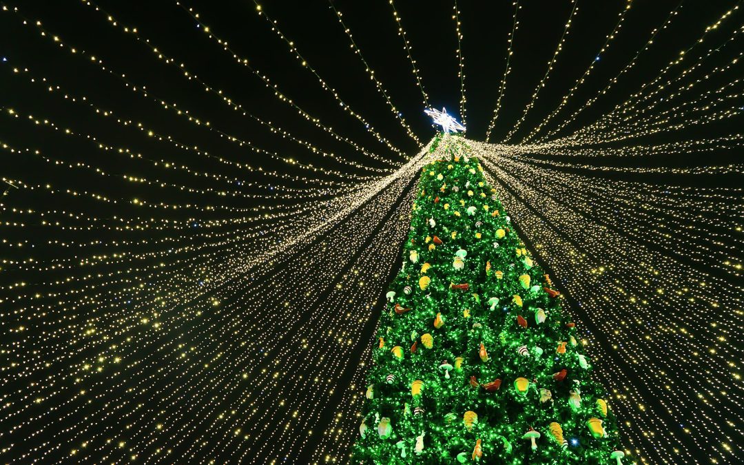 A Winter Wonderland: Top 10 Cities for Holiday Light Displays